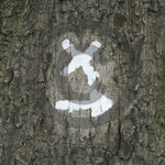 DEU, Deutschland, Wanderwegzeichen an einem Baum | Germany - signs for wanderer at a tree